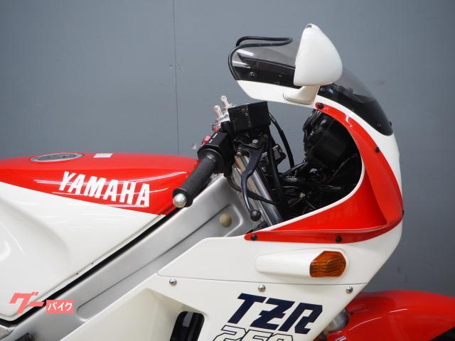 ヤマハ TZR250 1KT 純正シングルシートカウル装備｜バイク王