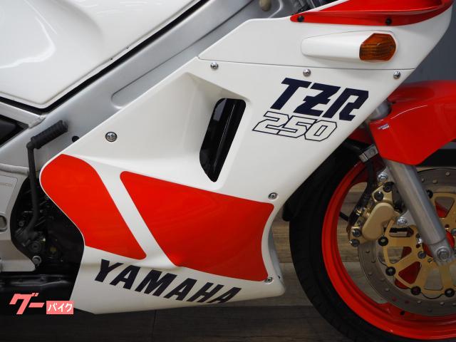 ヤマハ TZR250 1KT 純正シングルシートカウル装備｜バイク王