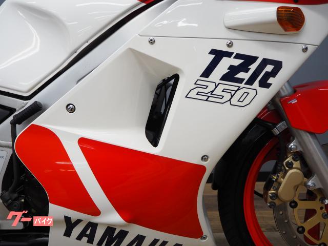 ヤマハ TZR250 1KT 純正シングルシートカウル装備｜バイク王
