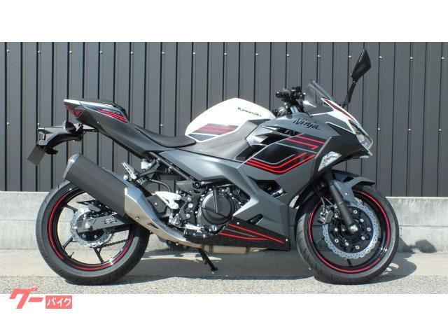 Ｎｉｎｊａ　４００　２０２４モデル