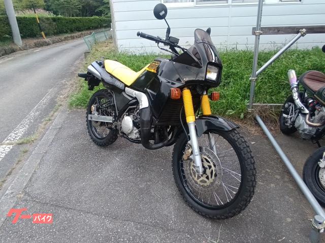 ＴＤＲ２５０