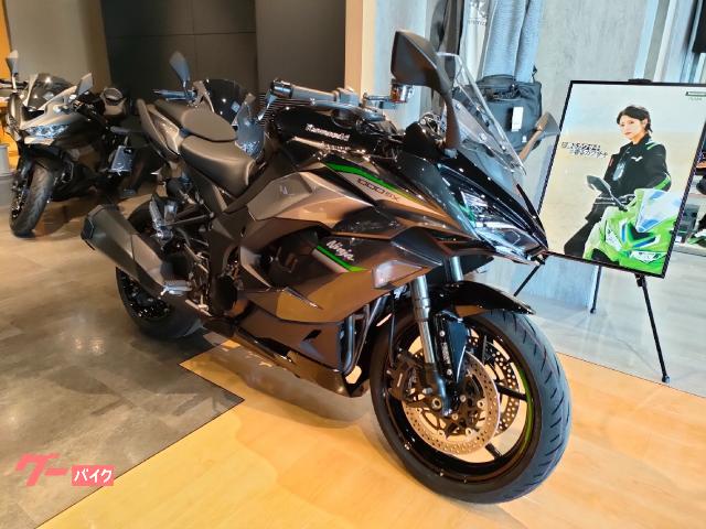 Kawasaki Ninja 1000 SX ETC2.0 — миниатюра 2