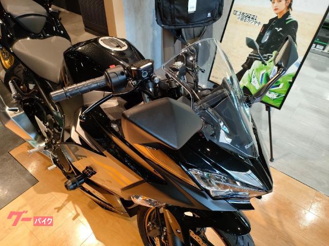 カワサキ Ninja 400 2020年式 USB2口 ETC ドラレコ カワサキ Ninja 400 2020年式 USB2口 ETC ドラレコ