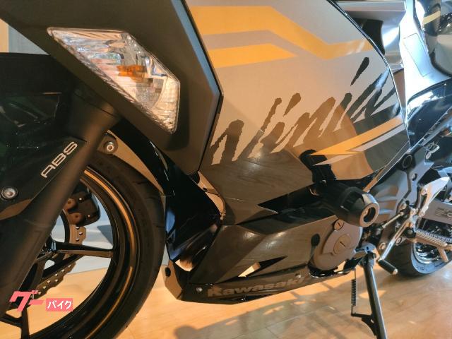 カワサキ Ninja 400 2020年式 USB2口 ETC ドラレコ カワサキ Ninja 400 2020年式 USB2口 ETC ドラレコ