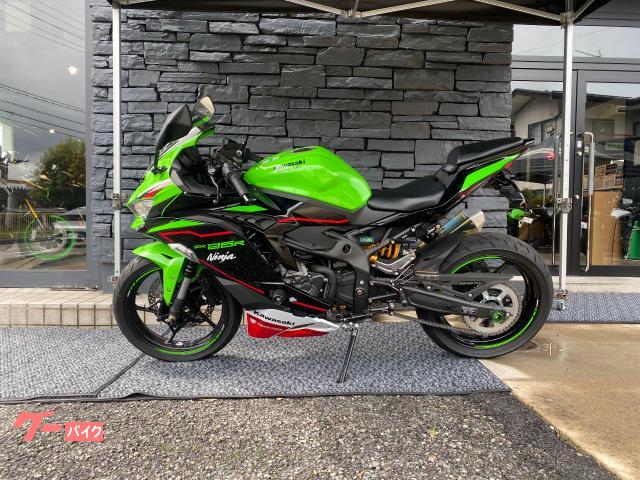 【onenine様】専用・赤/緑、各360g≪リクエスト特割特価≫ カワサキ Ninja ZX－25R SE KRTエディション カスタム