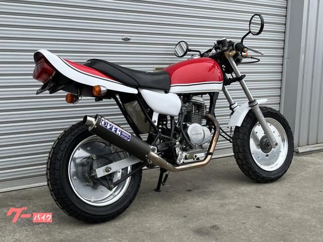 ホンダ Ape 特注カラー OVERフルエキ バックステップ 自賠責1