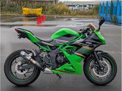 カワサキ　Ｎｉｎｊａ　２５０ＳＬ　スポーツシングル　ＥＴＣ　バックステップ　フレームスライダー　マルチバー