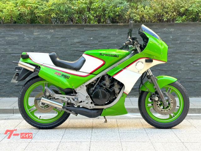 kawasaki カワサキ KR250用フロントフォーク - オートバイ