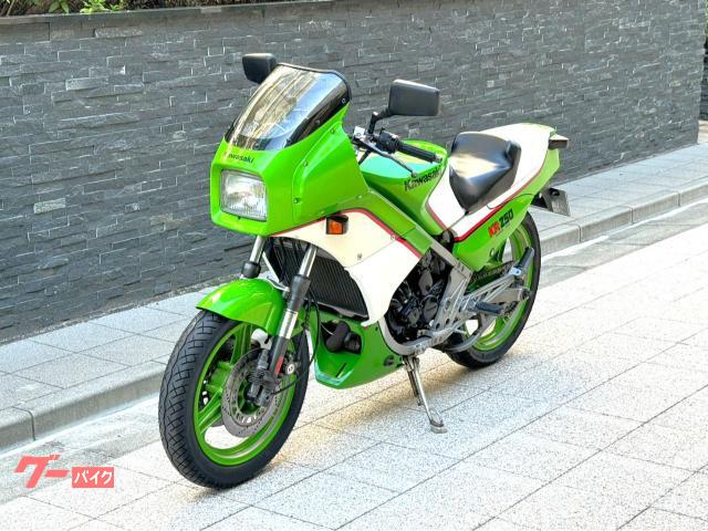 kawasaki カワサキ KR250用フロントフォーク - オートバイ