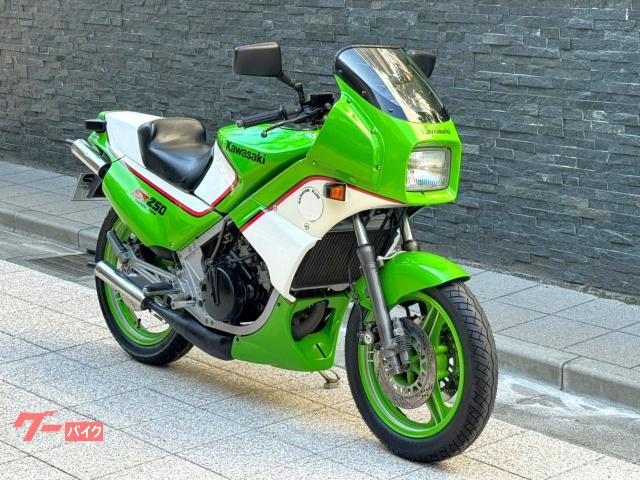 カワサキ KR250 希少低走行！ 社外チャンバー！ - オートバイ車体