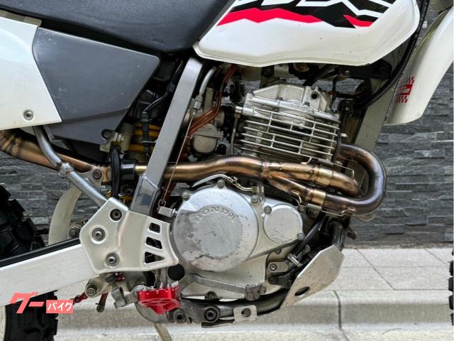 ホンダ ＸＲ２５０ ＭＤ３０前期 カスタム ＰＪ３６キャブ ＲＳＶコンペパイプ＆ＯＺサイレンサー オイルクーラー ｜ＧＴ３モーターサイクル｜新車・中古バイクなら【グーバイク】