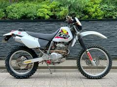 ホンダ　ＸＲ２５０　カスタム　ＭＤ３０前期　ＰＪ３６キャブ　ＲＳＶコンペ＋ＯＺワークスサイレンサー　ＺＥＴＡトップブリッジ　オイルクーラー
