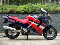 ホンダ　ＣＢＲ１０００Ｆ　ＳＣ２４　１９９３年　逆輸入フルパワー　ＭＲＡスクリーン　ＤＥＬＫＥＶＩＣトライオーバルＳ／Ｏマフラー