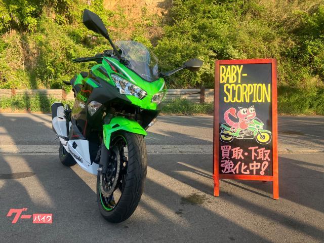 Ｎｉｎｊａ　２５０／２０２１年モデル／ＫＲＴエディション／バーエンドカスタム