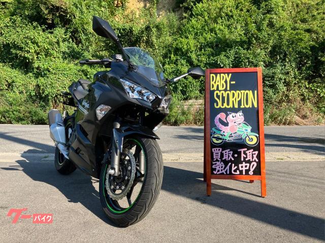 Ｎｉｎｊａ　２５０　ＡＢＳ／２０２２年モデル／カーボングレー／フルノーマル