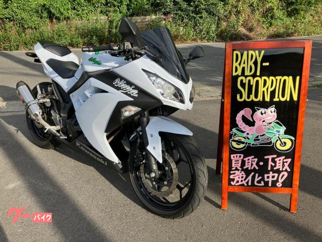 Ｎｉｎｊａ　２５０／２０１５年モデル／ヨシムラマフラー