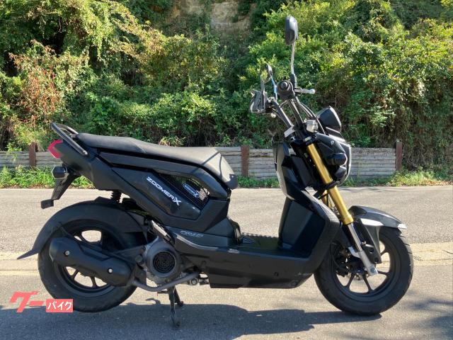 車両情報:ホンダ ズーマーX | BABY−SCORPION | 中古バイク・新車