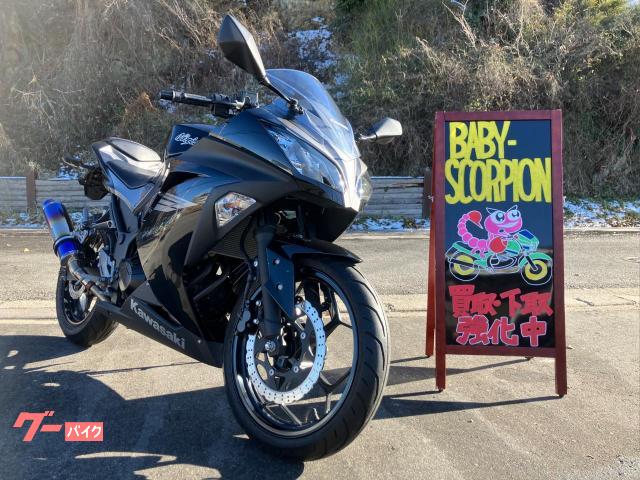 Ｎｉｎｊａ　２５０／２０１７年モデル／ブラックカラー／ビームスマフラー