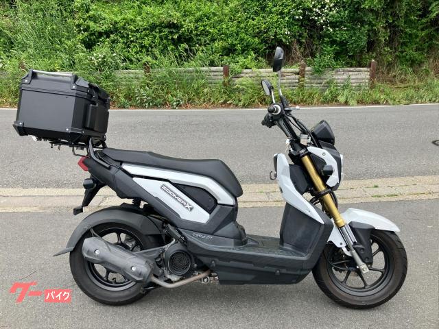車両情報:ホンダ ズーマーX | BABY−SCORPION | 中古バイク・新車 車両情報:ホンダ ズーマーX | BABY−SCORPION | 中古バイク・新車