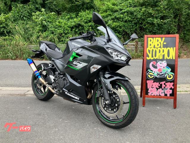 Ｎｉｎｊａ　２５０／２０２３年モデル／ローダウンカスタム／ＺＧＪＡＰＡＮサイレンサー