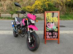 カワサキ　ＫＳＲ１１０／２０１３年モデル／セル付き／社外マフラー／フェンダーレスカスタム