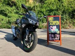 カワサキ　Ｎｉｎｊａ　２５０　ＡＢＳ／２０２２年モデル／カーボングレー／フルノーマル