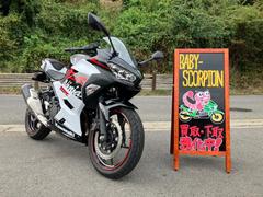 カワサキ　Ｎｉｎｊａ　２５０／２０２０年モデル／パールホワイト／ＵＳＢ電源付き