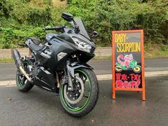 カワサキ　Ｎｉｎｊａ　２５０／２０２２年モデル／トリックスターカスタム／ＥＴＣ２．０付き