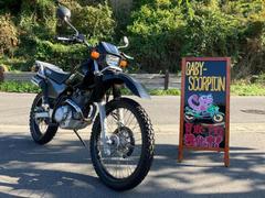 ヤマハ　セロー２２５ＷＥ／２００４年モデル／最終モデル／リアキャリア付き