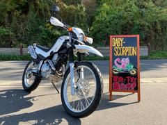 ヤマハ　セロー２５０／２０１７年モデル／ＰＩＡＡ製ＬＥＤフォグランプ／グリップヒーター付き