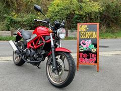 ホンダ　ＶＴＲ２５０／タイプＬＤ／２０１５年モデル／レッドカラー／タンデムバー付き