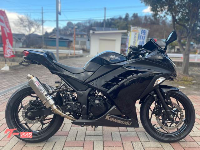 カワサキ Ｎｉｎｊａ ２５０ ＥＸ２５０Ｌ ２０１３年ｍｏｄｅｌ