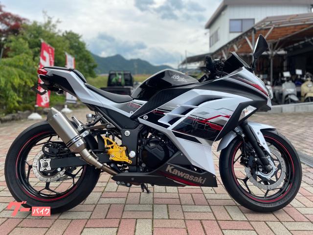 Ｎｉｎｊａ　２５０　ＡＢＳ　スペシャルエディション