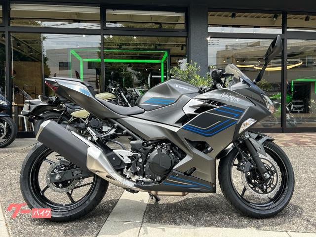 Ｎｉｎｊａ　４００