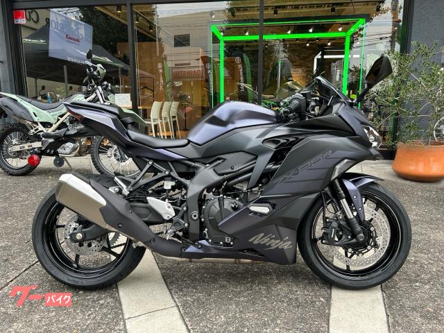 Ｎｉｎｊａ　ＺＸ−２５Ｒ　ＳＥ