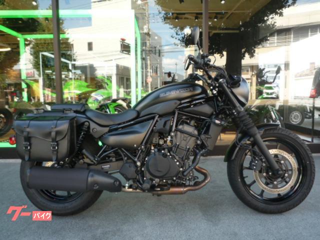 ＥＬＩＭＩＮＡＴＯＲ　ＳＥ　２０２４年モデル