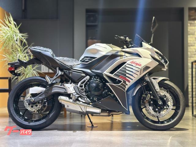 Ｎｉｎｊａ　６５０