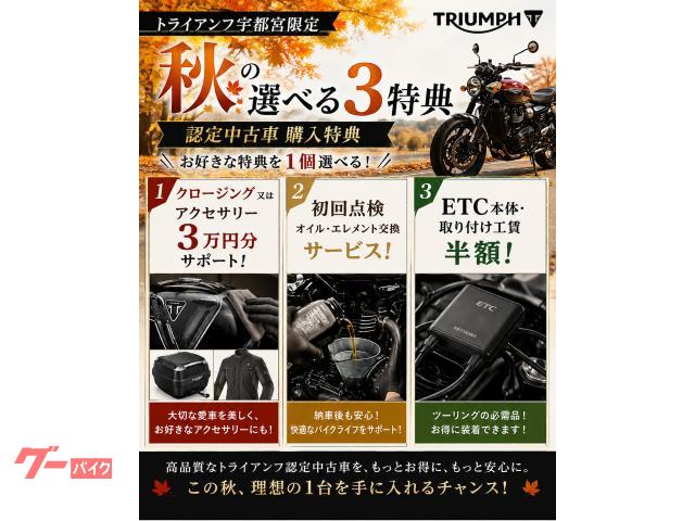 タイガースポーツ660 デュアルローシート A9700886 純正品
