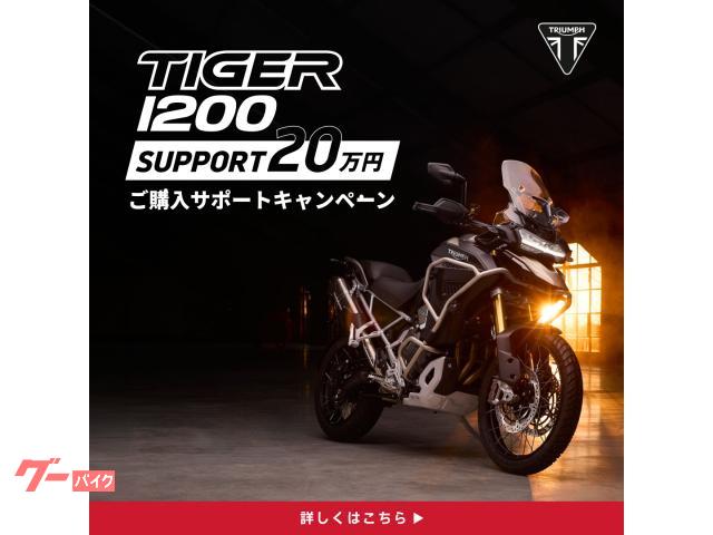 TRIUMPH 1200 1200GTPRO — миниатюра 4