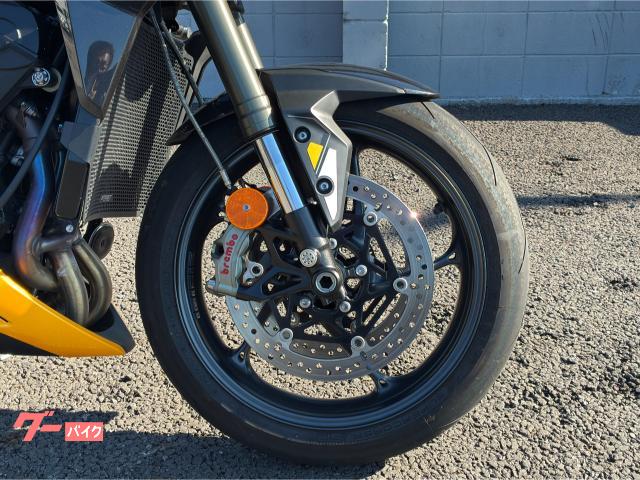 TRIUMPH 765RS — миниатюра 5