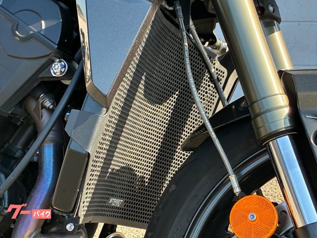 TRIUMPH 765RS — миниатюра 6