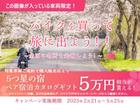 トライデント660 トライアンフレーシングイエロー クイックシフター スリップアシストクラッチ TFTディスプレイ