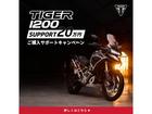 タイガー1200アルパインエディション GTPRO