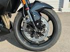 タイガースポーツ800 ハンドガード 登録済未使用車両