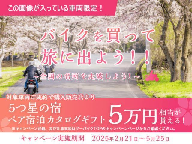 タイガー900ラリー アラゴンエディション 特別仕様車 登録済未使用車 フューエルタンクプロテクションバー