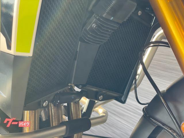 タイガー900ラリー アラゴンエディション 特別仕様車 登録済未使用車 フューエルタンクプロテクションバー