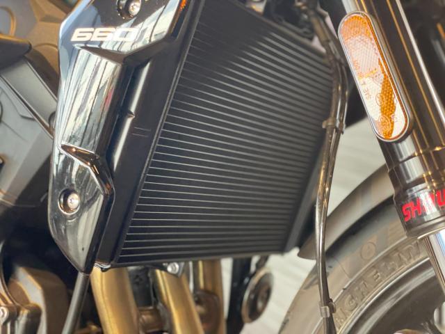 トライデント660 シフトアシスト スクロールウインカー プロテクションキット付