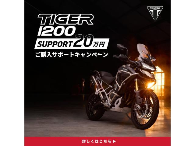 タイガー1200アルパインエディション GTPRO