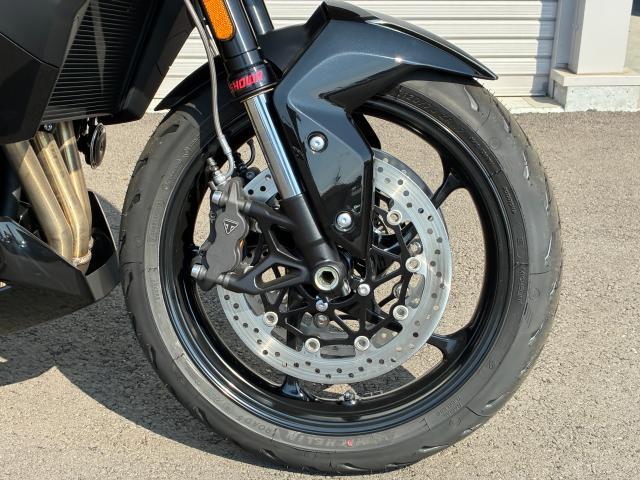 タイガースポーツ800 ハンドガード 登録済未使用車両