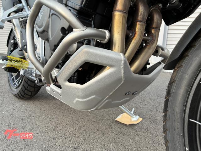 タイガー1200ラリー PRO